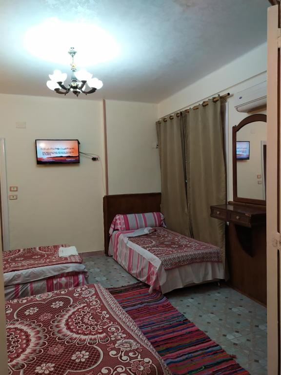 Cairo Moon Hostel