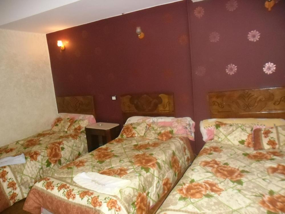 Cairo Moon Hostel